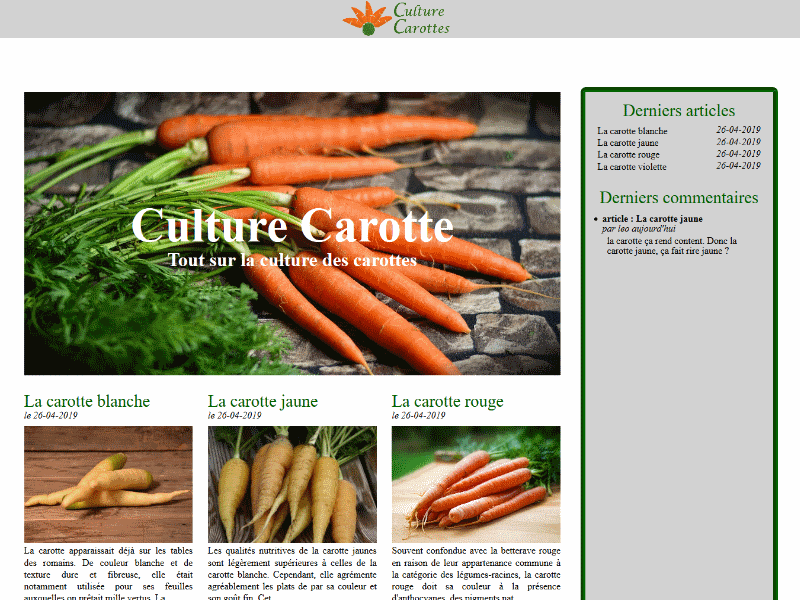 image du site Culture Carottes